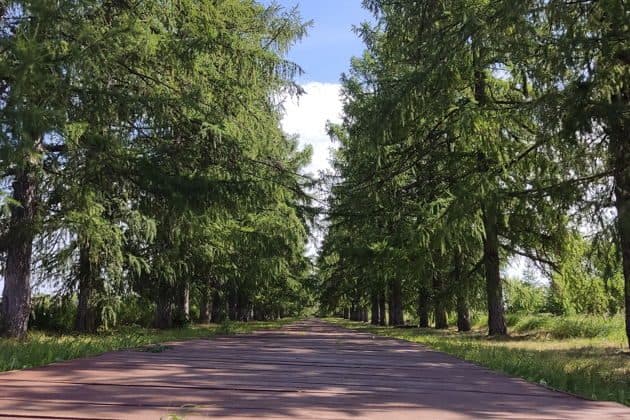 Мистическая экскурсия в усадьбу Молоствовых, Сюкеевский каньон, гора Лобач